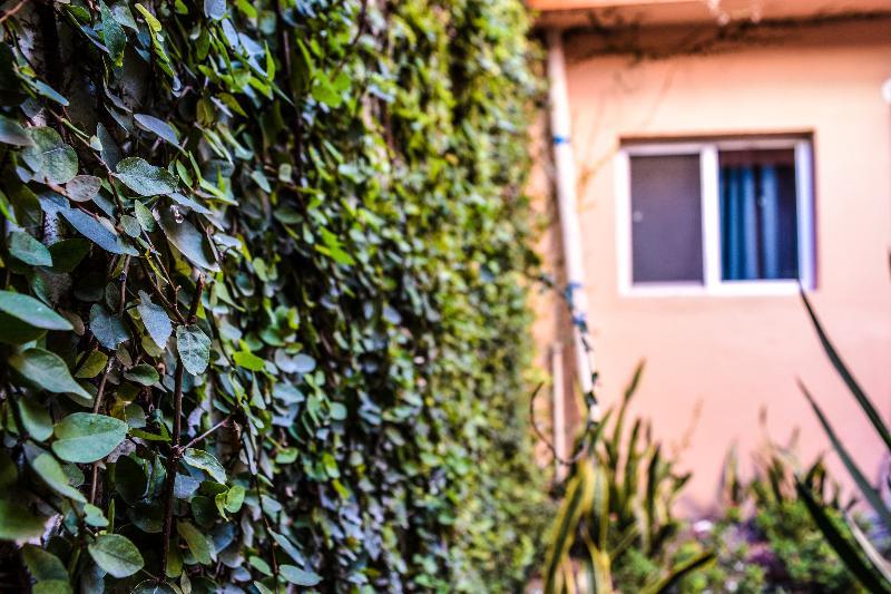 Econosuites Monterrey Exteriér fotografie